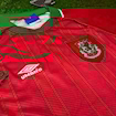 Picture of Wales 94/96 Home Rush