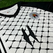 Picture of Palestine 24/25 Special Edition White/Black