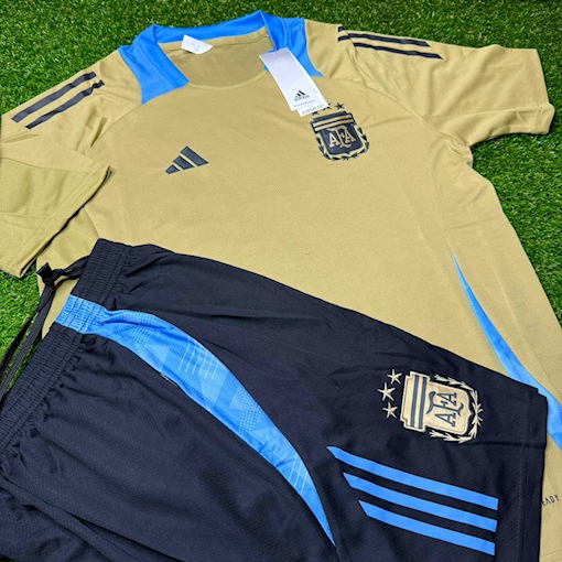 Picture of Argentina 2024 Training Beige/Blue