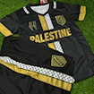 Picture of Palestine 24/25 Special Edition Black/Gold