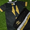 Picture of Palestine 24/25 Special Edition Black/Gold