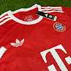 Picture of Bayern Munich 2024 Special Casual Edition Red