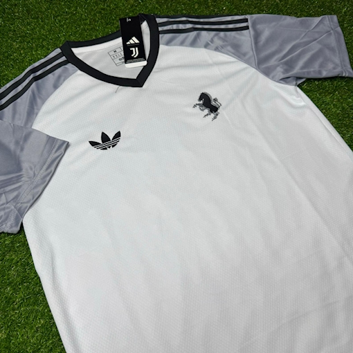 Picture of Juventus 24/25 Goalkeeper