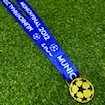 Picture of Champions League Final Munich 2012 Medal