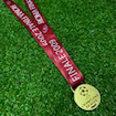 Picture of Champions League Final Roma 2009 Medal