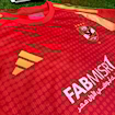 Picture of Al Ahly 24/25 Home