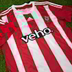 صورة Southampton 15/16 Home Virgil