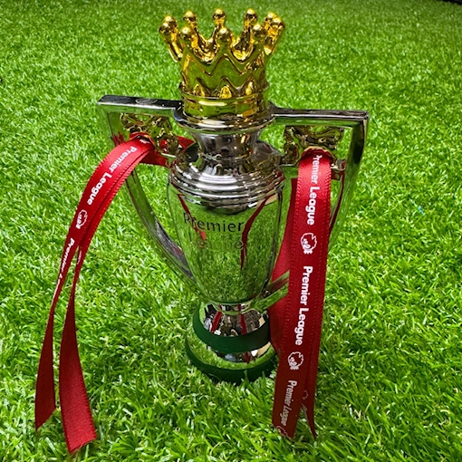 Picture of  Premier League Trophy 15CM