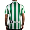 Picture of Real Betis 88/89 Home