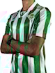 Picture of Real Betis 94/95 Home