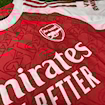 Picture of Arsenal 25/26 Home Player Version