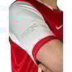 صورة Arsenal 06/07 Home Bergkamp