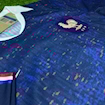 Picture of France 25/26 Home Player Version