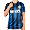 Picture of Inter Milan 10/11 home