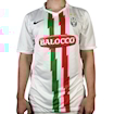 Picture of Juventus 10/11 Away