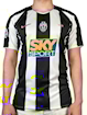 Picture of Juventus 04/05 Home Del Pirlo