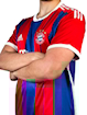Picture of Bayern Munich 14/15 Home Lewandowski