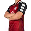 Picture of Bayern Munich 01/02 Home