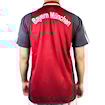 Picture of Bayern Munich 01/02 Home