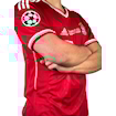 Picture of Bayern Munich 12/13 Home Robben Final