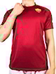Picture of Roma 17/18 Home Totti