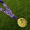 Picture of Premier League 01/02 Medal