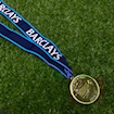 Picture of Premier League 06/07 Medal