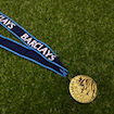 Picture of Premier League 06/07 Medal