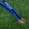 Picture of Premier League 10/11 Medal