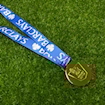 Picture of Premier League 15/16 Medal