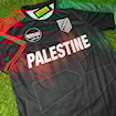 Picture of Palestine 2025 Special English Version
