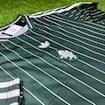 Picture of Juventus 25/26 Terrace Icons jersey Green