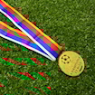 Picture of Champions League 2002 Medal
