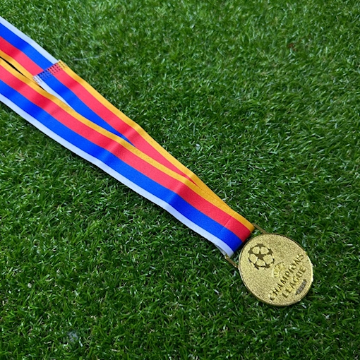 Picture of Champions League 2000 Medal