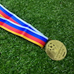 Picture of Champions League 2004 Medal