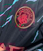 Picture of Manchester City 23/24 Third Long- sleeve