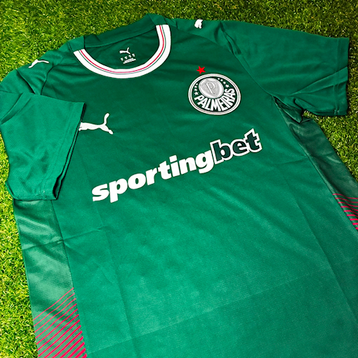 Picture of Palmeiras 26/27 Home