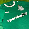 Picture of Palmeiras 26/27 Home